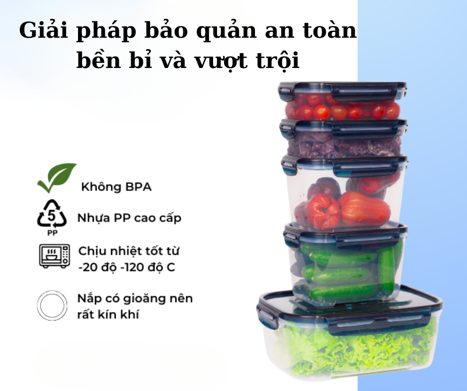 Hộp đựng thực phẩm Donghea – Giải pháp bảo quản an toàn, bền bỉ và vượt trội