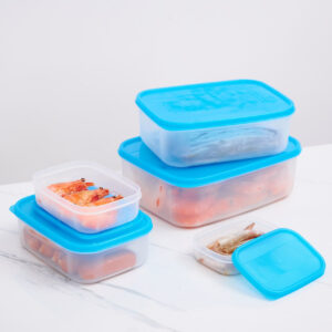 Bộ 5 hộp bảo quản thực phẩm chữ nhật vừa (240+500+900+2000+3500ml) - DK8426