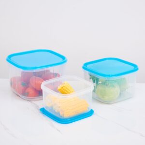 Bộ 3 hộp bảo quản thực phẩm vuông (2300+4000+6000ml) - DK8428