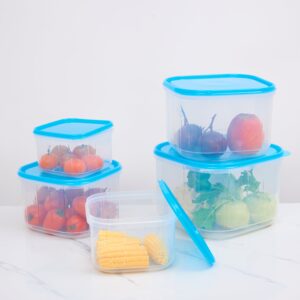 Bộ 5 hộp bảo quản thực phẩm vuông (2300+4000+6000ml+8500+12000ml) - DK8429