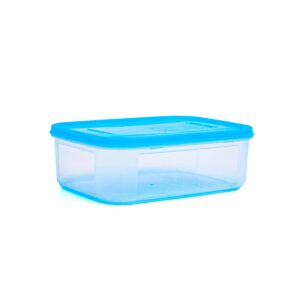 Hộp bảo quản thực phẩm chữ nhật vừa 2000ml - DK8412